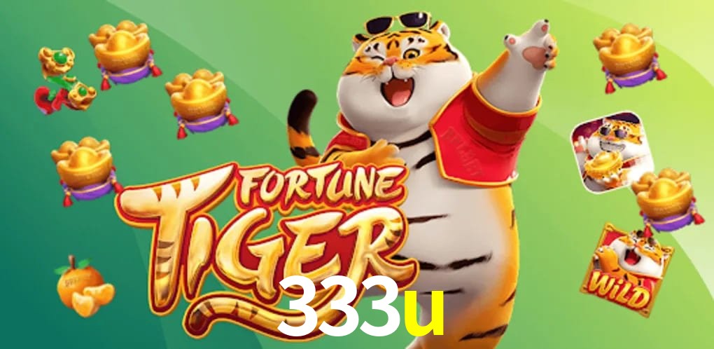 Experiência VIP 333u